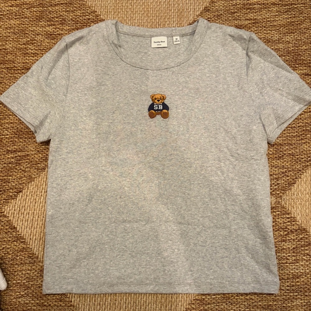Aritzia BestHug Little Ribbed Icon T-Shirt Sunday Best